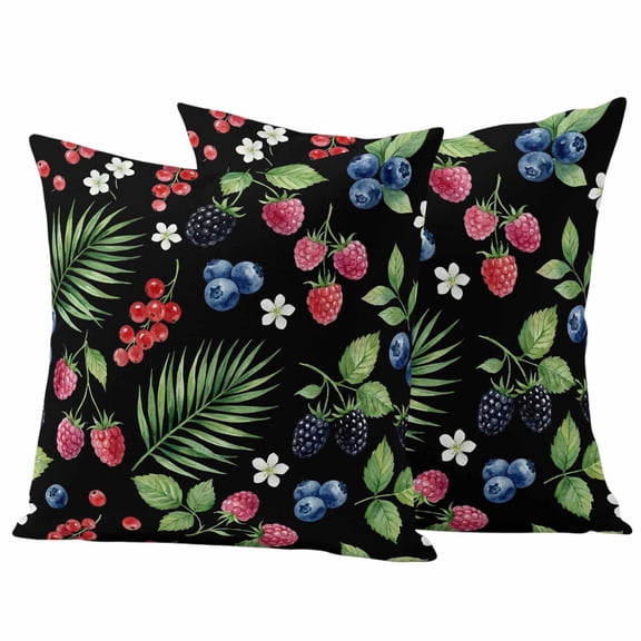 Outdoor Pillow Covers 24 x 24 Inches, Botanical Fruit Waterproof Throw Pillow Cover Set of 2, Retro Blueberry Raspberry Leaves Black Decorative Square Cushion Covers for Patio/Tent/Couch/Garden