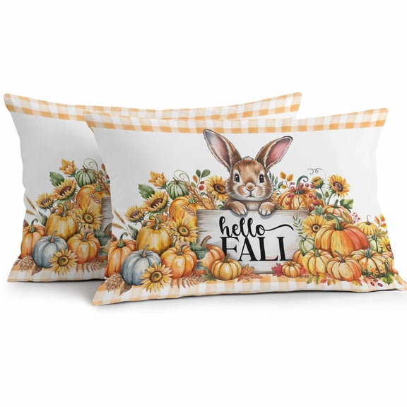Outdoor Pillow Covers Waterproof Pillow Cases Protector Cartoon Cute Rabbit Pillowcase Pack of 2 Hello Fall Pumpkins Sunflowers Throw Cushion Case for Pation,Couch,Living Room Sofa, 20x12 in