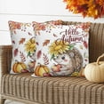 thumbnail image 1 of Outdoor Pillow Covers Waterproof Pillow Cases Protector Hello Autumn Cute Hedgehog Pillowcase Pack of 2 Watercolor Fall Maple Leaf Throw Cushion Case for Pation,Couch,Living Room Sofa, 18x18 in, 1 of 9