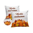 Outdoor Pillows Cover 16x16 Pack of 2 Autumn Pumpkin Leaves Waterproof