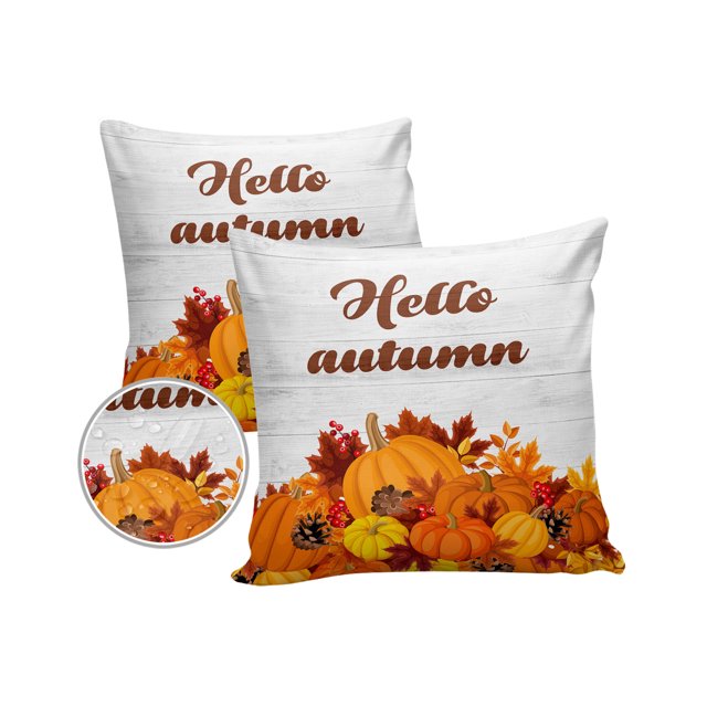 Outdoor Pillows Cover 16x16 Pack of 2 Autumn Pumpkin Leaves Waterproof