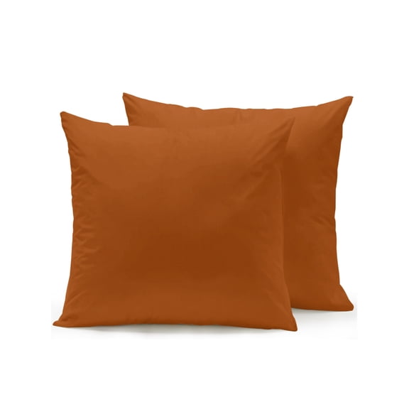 Outdoor Pillows Waterproof, Burnt Orange Bedding Throw Pillows with Insert for Couch Sofa Bed, Fall Autumn Thanksgiving Farmhouse Solid Color 16x16 Inch Pillowcases Decorative Patio Pillow Set of 2