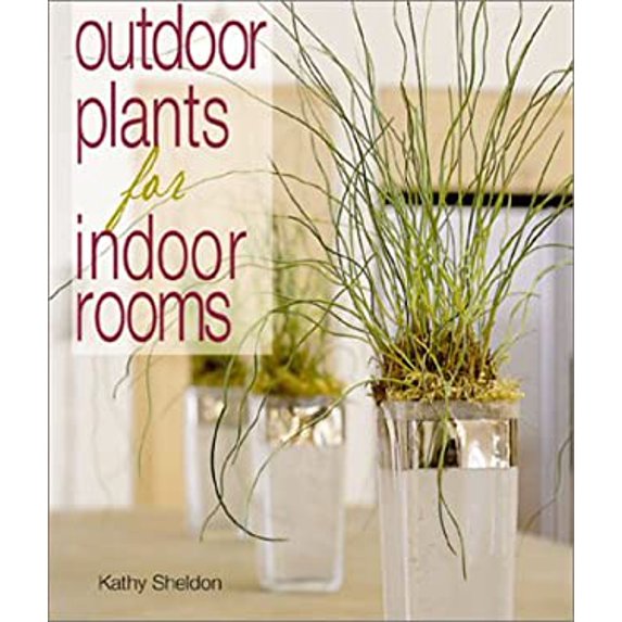 Pre-Owned Outdoor Plants for Indoor Rooms (Hardcover) 1579902391 9781579902391