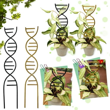 Outdoor Potted Plant Trellis, For Climbing Plants, Stackable Garden Trellis, Small House Plant Trellis for Vine Ivy Flower Plant Support