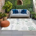 thumbnail image 1 of Outdoor Rug 3x5 ft Blue Coral Turtles Starfish Jellyfish Shells Outdoor Large Area Rug Non Slip Sea Creature Front Door Mat RV Rug Carpet Patio Outdoor Rugs for Backyard Balcony Deck Porch Indoor, 1 of 9