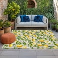 thumbnail image 1 of Outdoor Rug 3x5 ft Floral Lemon Outdoor Large Area Rug Non Slip Rubber Summer Fruit Green Leaves Grey Front Door Mat RV Rug Camping Carpet Patio Outdoor Rugs for Backyard Balcony Deck Porch Indoor, 1 of 9