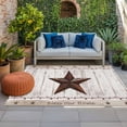 thumbnail image 1 of Outdoor Rug 3x5 ft Vintage Barn Stars Wood Grain Outdoor Large Area Rug Non Slip Rubber Farmhouse Berry Front Door Mat RV Rug Camping Carpet Patio Outdoor Rugs for Backyard Balcony Deck Porch Indoor, 1 of 9