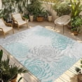 thumbnail image 1 of Outdoor Rug 4x6 Feet, Aqua White Entryway Rugs Floor Mats, Washable Runner Rug Non Slip, Abstract Grey Chrysanthemum Flower Floral Indoor Outside Rugs for Patios/Porch/Camping, 1 of 9
