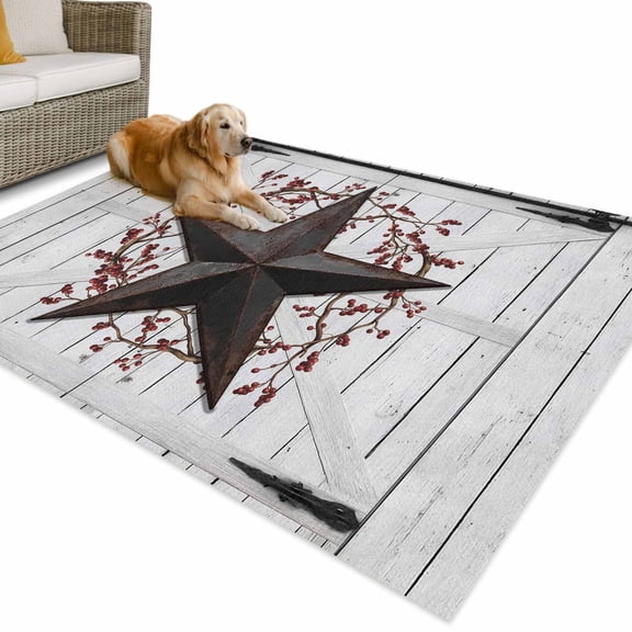 Outdoor Rug 4x6 ft Rusty Barn Star Berry Waterproof Outdoor Patio Rug Mat Non Slip Outside Area Rugs Carpet for RV,Camping,Porch,Deck,Pool,Balcony,Backyard, Rustic Farmhouse Door Wall