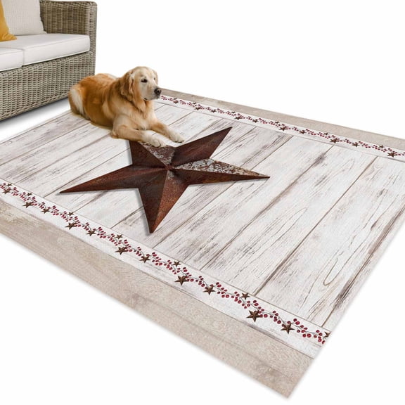Outdoor Rug 4x6 ft Vintage Barn Star Wood Grain Waterproof Outdoor Patio Rug Mat Non Slip Outside Area Rugs Carpet for RV,Camping,Porch,Deck,Pool,Balcony,Backyard, Farm Berry