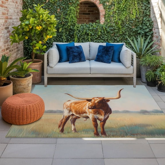 Outdoor Rug, Texas Longhorn Grass Sunset Indoor Area Rug Outdoor Carpet RV Camping Rugs 4x6ft Farmhouse Natural Landscape Outside Mat for Patio Picnic Porch Deck Balcony Backyard