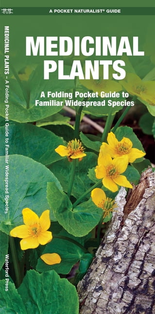 SENIOR CONSULTANT JAMES KAVANAGH; WATERFORD PRESS; RAYMOND LEUNG Outdoor Skills and Preparedness: Medicinal Plants : A Folding Pocket Guide to Familiar Widespread Species (Other)