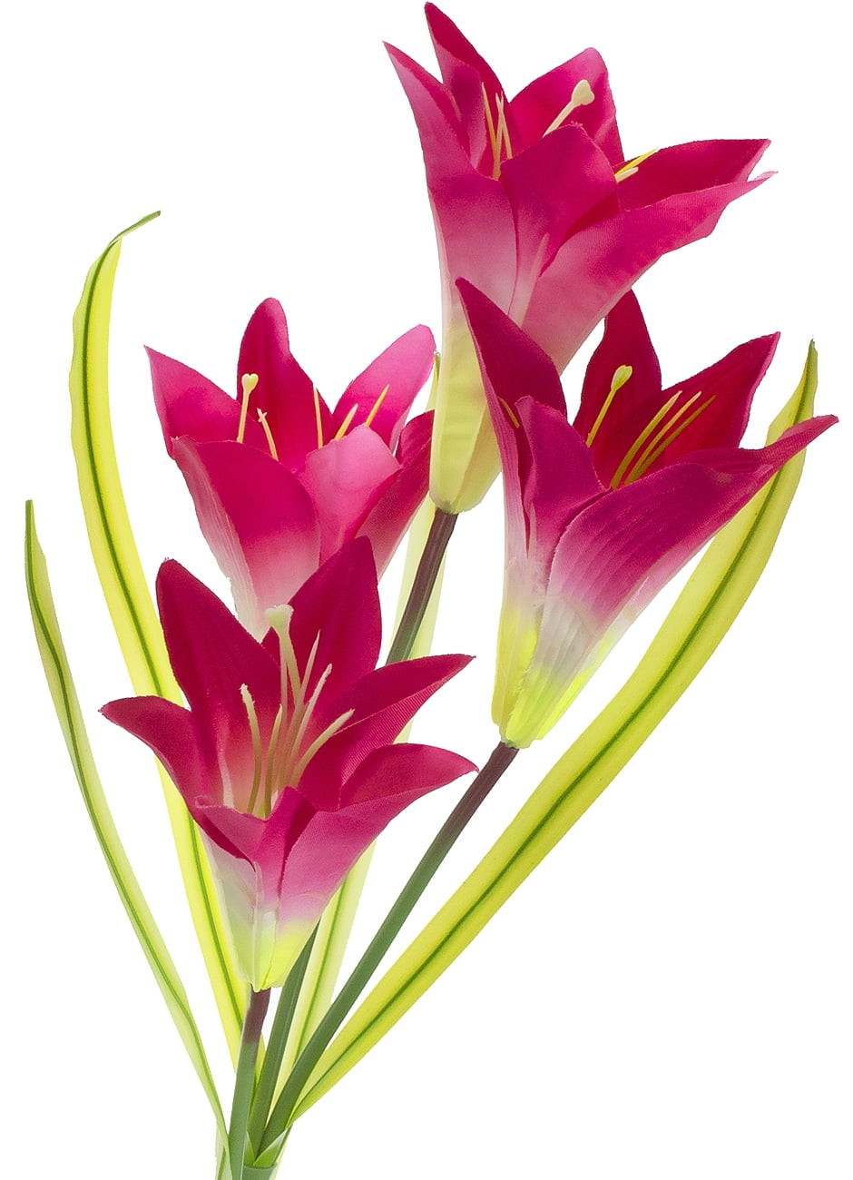 Outdoor Solar Garden Flower stake Lights 2 Pack, Red