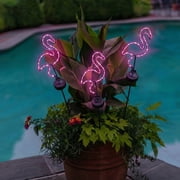 Outdoor Solar Powered Led Decorative Garden Stake Light - 2 Pack Pink Flamingo
