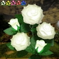 thumbnail image 1 of Outdoor Solar Rose Flower Lights with 5 Rose Flowers, Waterproof Solar Landscape Lights for Pathway, Garden, Patio, Yard, Walkway, 1 of 9