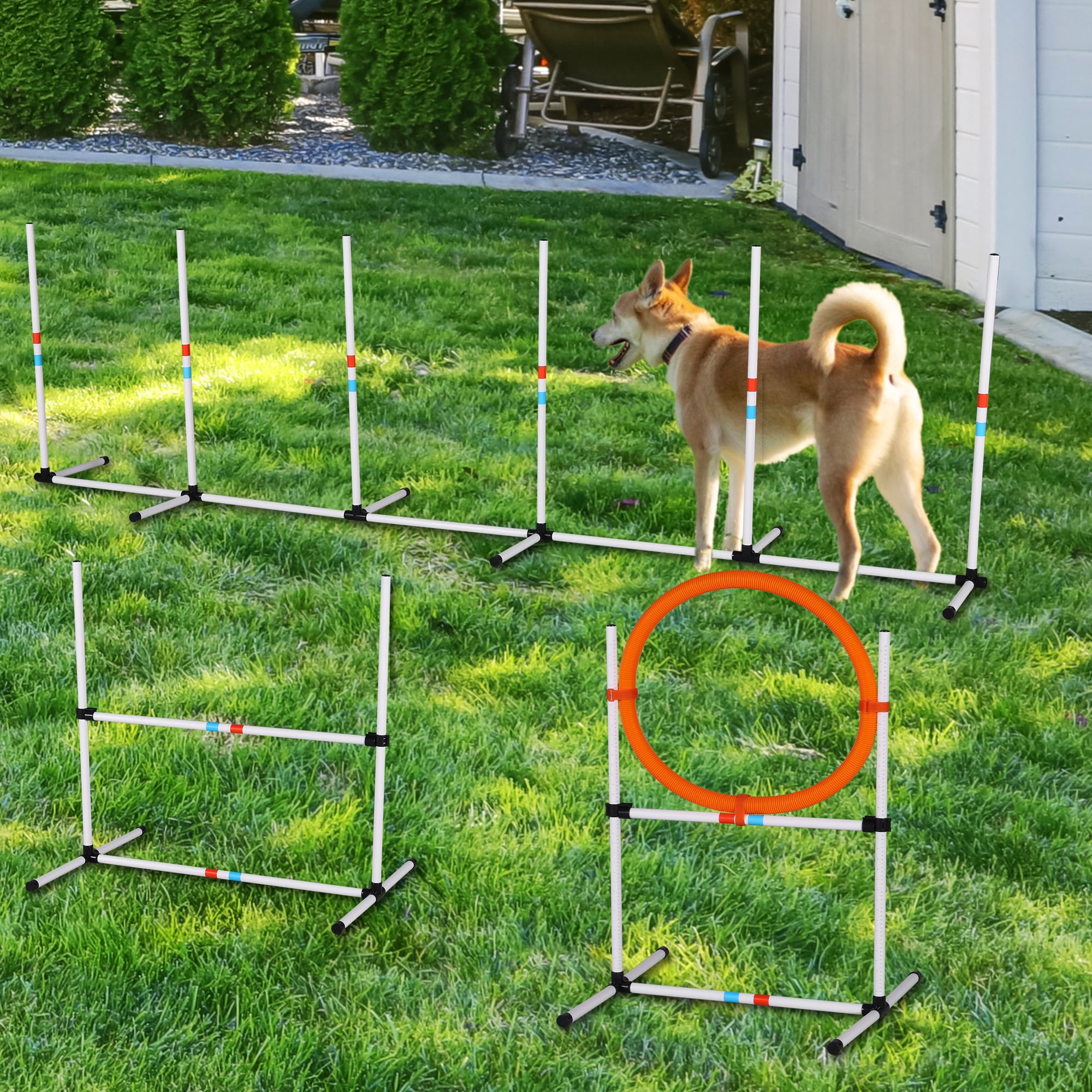 6-Piece Dog Agility Set - Adjustable Hurdle, Hoop, Weave Poles & Carry Bag