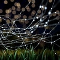 thumbnail image 1 of Outdoor Starry Solar String Lights- Solar Powered Cool White Fairy 100 LED Lights with 8 Lighting Modes for Patio, Backyard, Events by Pure Garden, 1 of 7