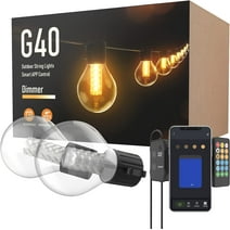 Outdoor String Lights with Dimmer App Control, 25Ft Patio Lights Waterproof Shatterproof G40 Globe 15 Led Bulbs 2700K, Connectable Christmas Hanging Light Timer Remote for Indoor Outside Porch Party