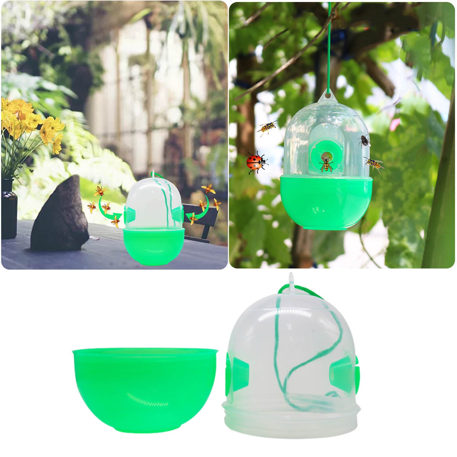 Outdoor Trap For Capturing Fly Catchers Set For Indoor Or Greenhouse（1