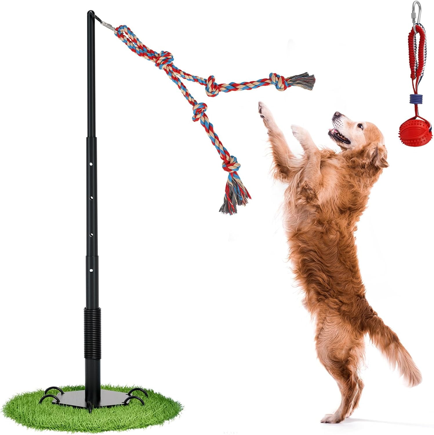Dog Tether Toy