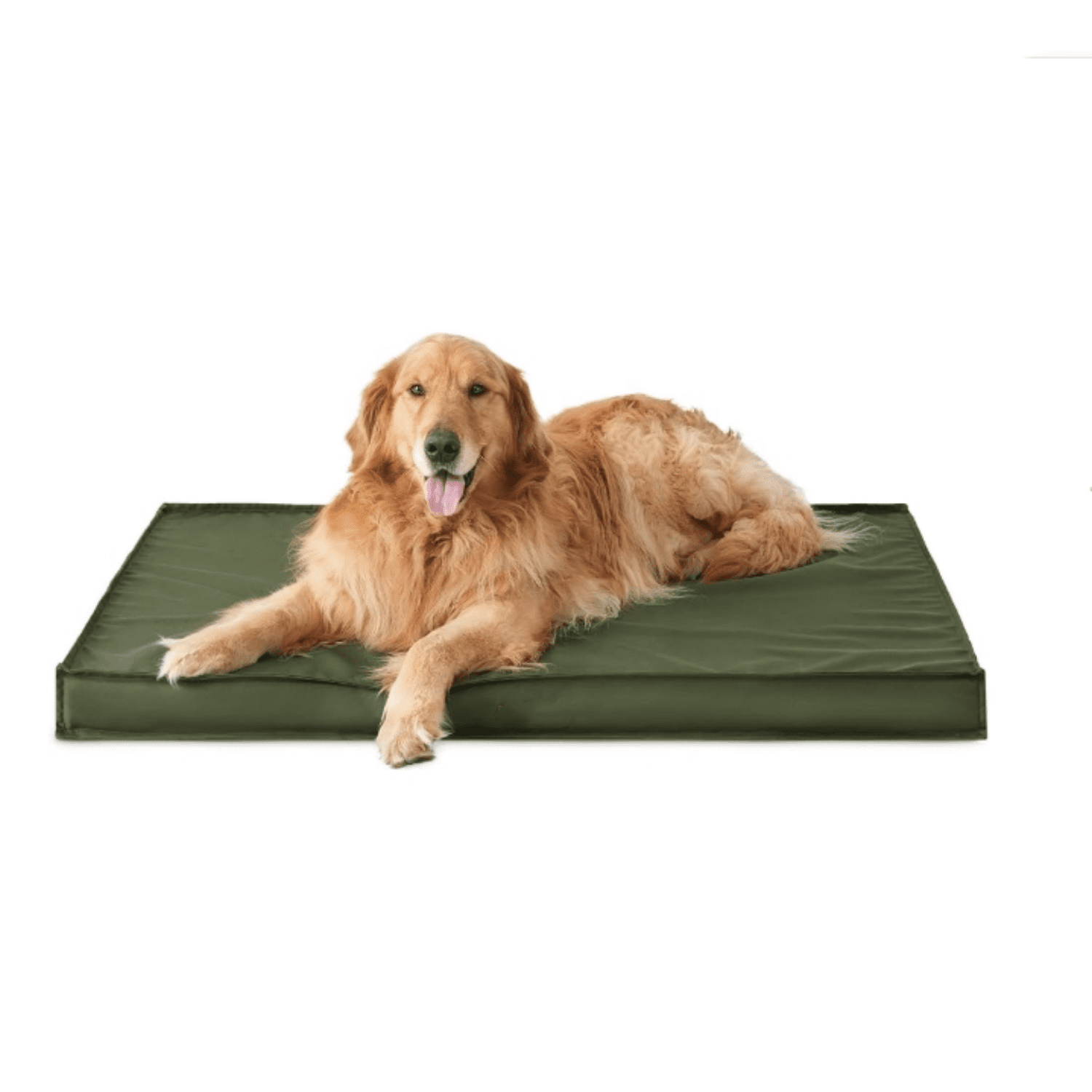 Outdoor Waterproof Dog Beds Large Sized Dog, Orthopedic Egg Crate Foam Pet Bed with Oxford Fabric Surface and Removable Washable Cover, Pet Mat 36''x27'', Green