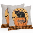 thumbnail image 1 of Outdoor Waterproof Pillow Covers Vintage Ballet Skirt Skull Decorative Throw Pillow Protectors,Halloween Words on Linen Pillowcase Cushion Cases for Patio Sofa Garden Couch,26x26in,Pack of 2, 1 of 9
