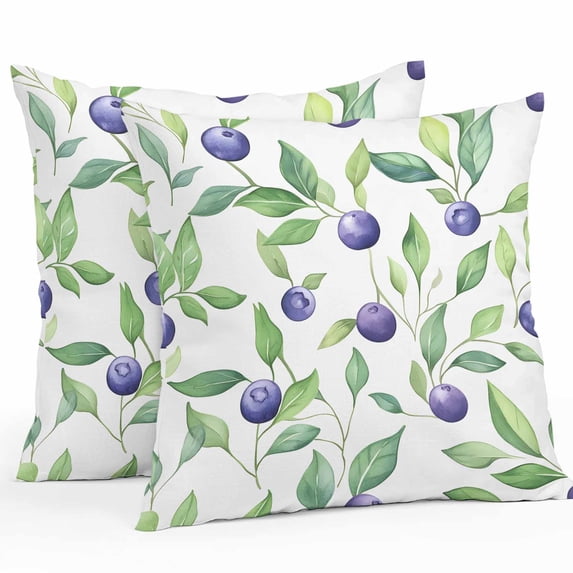 Outdoor Waterproof Pillow Covers Pack of 2, Blueberry Fruit Hand Painted Watercolor Blueberry Decorative Throw Pillowcases Cushion Covers for Garden Patio Tent Sofa Couch, 24x24 inch