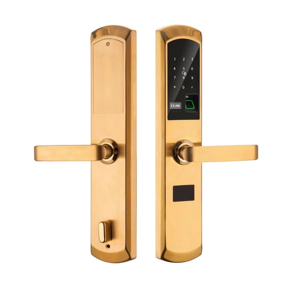 Outdoor Weatherproof RFID Smart Door Lock, Tuya WiFi APP Fingerprint Digital Keyless Lock for Hotel Use