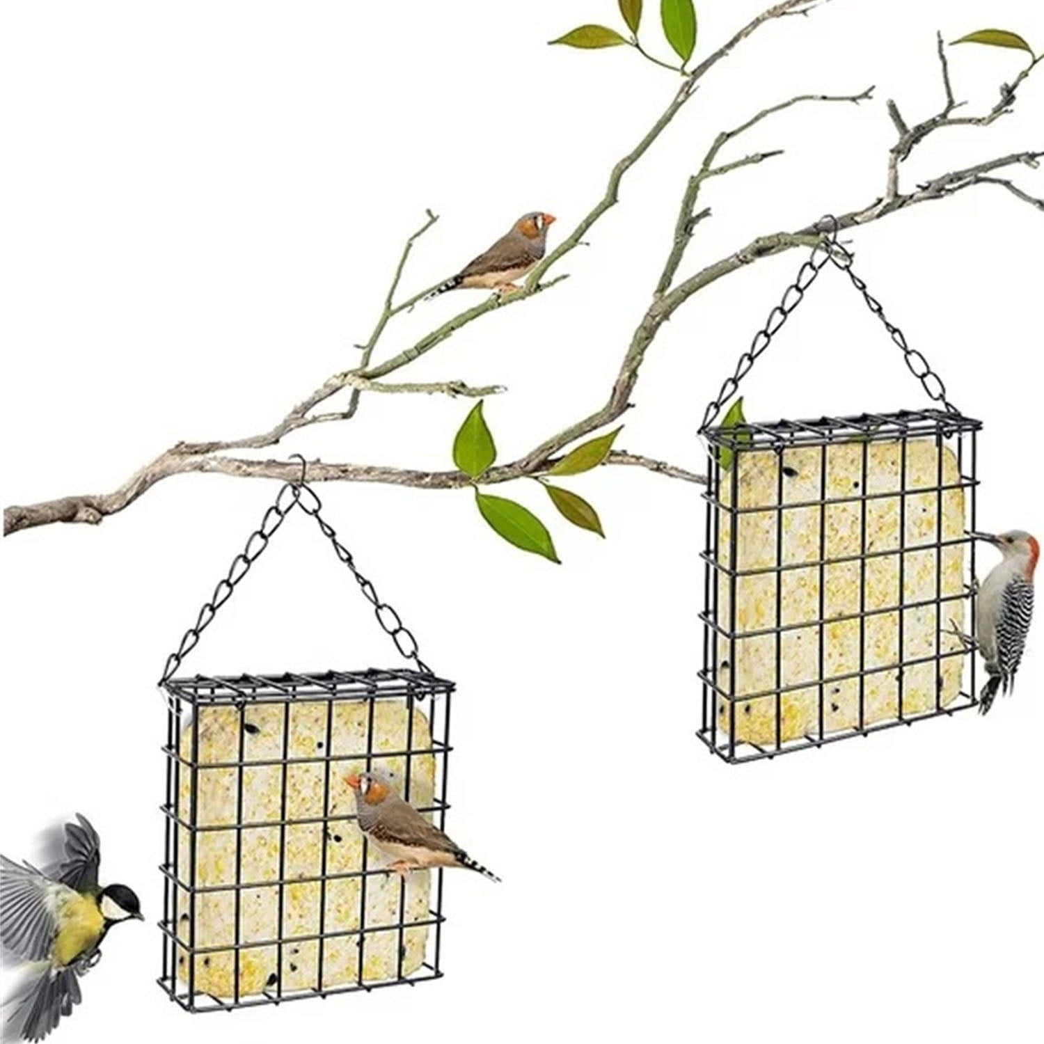 Outdoor Wild Bird Feeder,Suet Cage Bird Feeder,Fruit and Suet Feeder