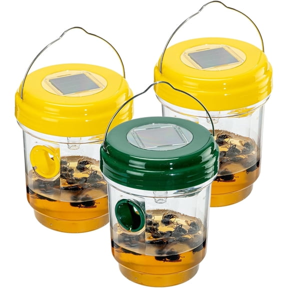 Outdoor hanging of wasp traps, solar-powered bee traps, bumblebee traps, garden outdoor bee catchers