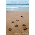 thumbnail image 1 of Outer Banks, North Carolina, Sea Turtles Hatching (12x18 Wall Art Poster, Room Decor), 1 of 3