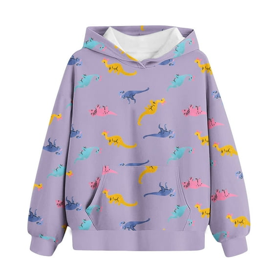 Outfits for Boys Girls, Kids Dinosaur Hoodies Long Sleeve Girls Boys Hooded Sweatshirt with Pocket Pullover Top Fall Winter Clothes 4-14T (13 Years, Purple)