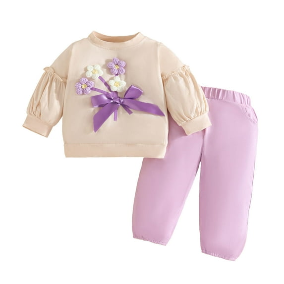 Outfits Girls Toddler Girls Sweat Suits Long Sleeve Floral Pullover T Shirt Pants Outfits Girls Fall Clothes Purple 6 Months-12 Months