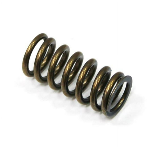 Outlaw Racing OR5380 Intake Wire Spring
