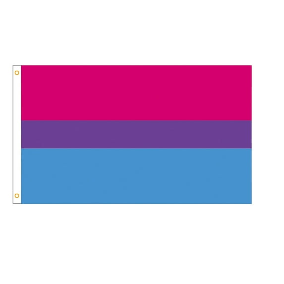OutmaxHome Flag Outdoor 3x5 Sewn Stripes Progress Gay LGBT Lesbian Transgender Bisexual Flags Fade Resistant for Indoor Outdoor