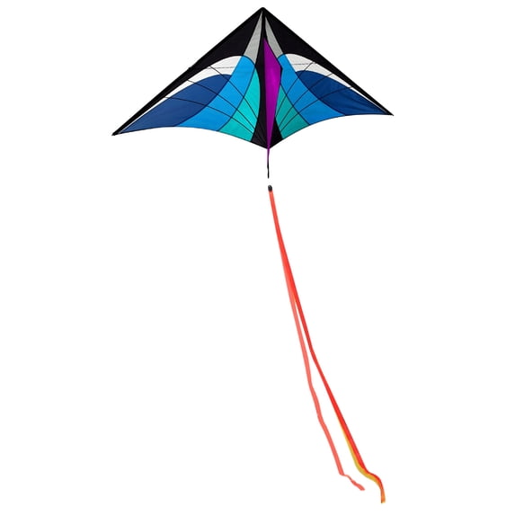 OutmaxHome Multicolor Delta Shaped Kite with Long Tail and 98.43 Ft Kite Line, Lightweight Durable Kite for Outdoor Activity