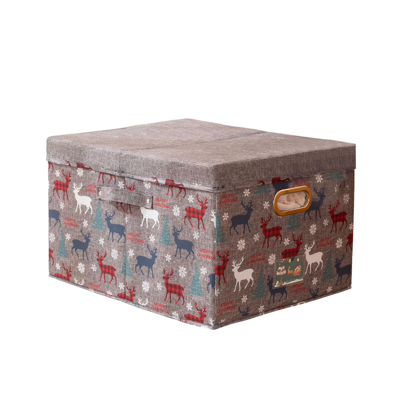 Outoloxit Foldable Storage Box with Lid Fabric Storage Box with Lid