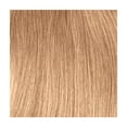 thumbnail image 1 of Outre X-Pression Box Braids 45-Strands 3X's Pack Medium Natural Tip Crochet Hair- 14", 1 of 13