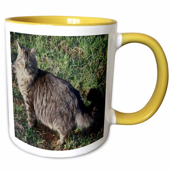3drose, Outside Cat, 11oz Two-tone Yellow Mug