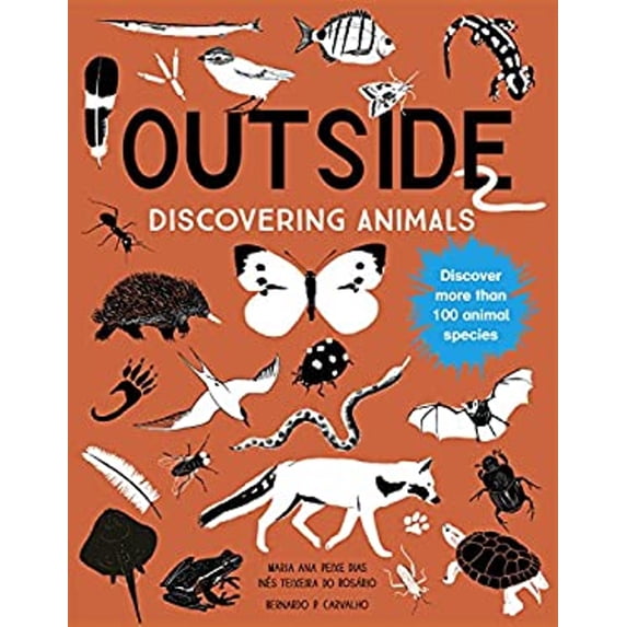 Pre-Owned Outside: Discovering Animals (Paperback) 1786031604 9781786031600