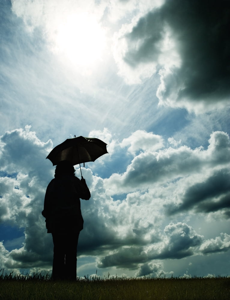 Outside In The Storm Canvas Art - Darren Greenwood Design Pics (24 x 30)