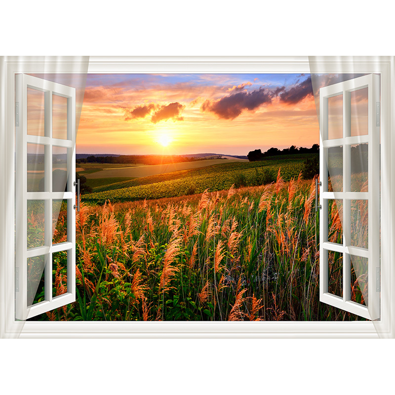 Outside Window Backdrop Outside The Window Natural Scenery Photography Background Indoor ...
