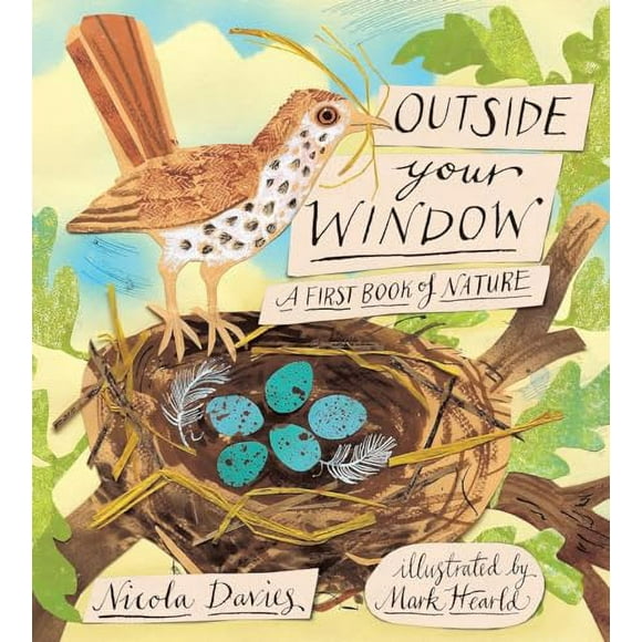 Outside Your Window : A First Book of Nature (Hardcover)
