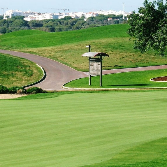 Outsidepride 1 lb. A-List Turf T-1 Coated Creeping Bentgrass Seed for Putting Greens, Tees, & Fairways