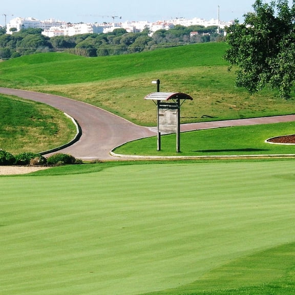 Outsidepride 2 lb. A-List Turf T-1 Coated Creeping Bentgrass Seed for Putting Greens, Tees, & Fairways