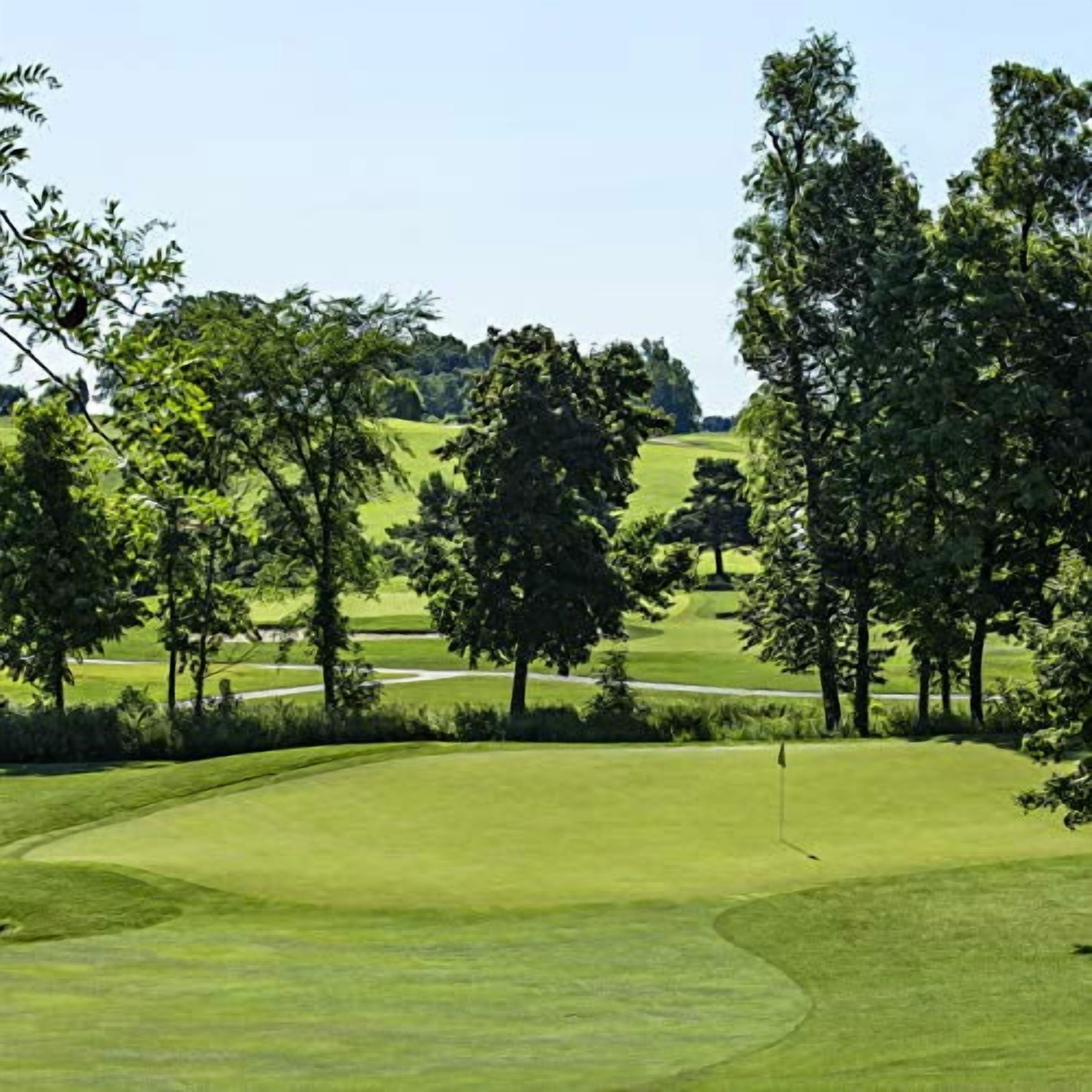 Outsidepride 5 lb. PC2.0 (Penncross) Golf Creeping Bent Grass Seed for Tees, Putting Greens, & Fairways