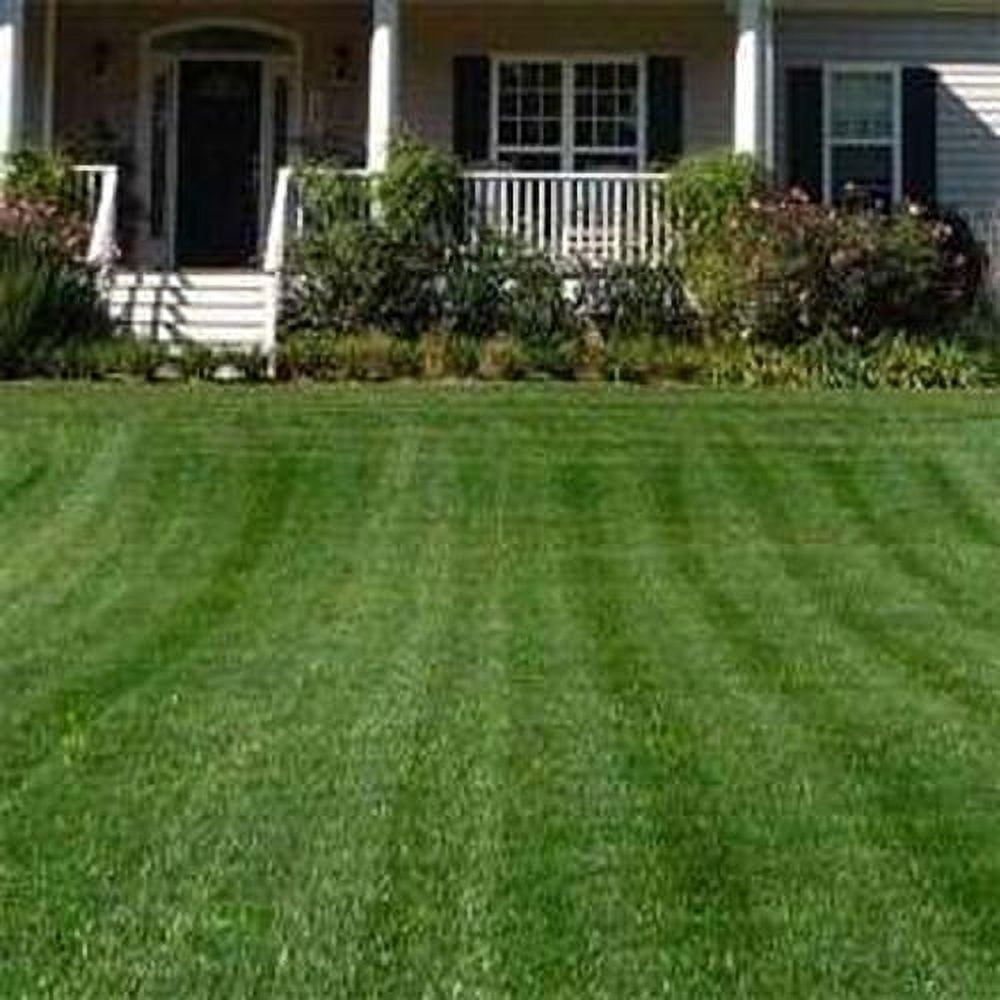 Outsidepride Combat Extreme Fescue & Kentucky Bluegrass Grass Seed, 10 lb