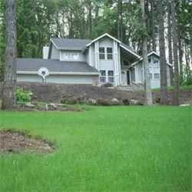 Outsidepride Showtime Ryegrass, Kentucky Bluegrass, Fine Fescue Lawn