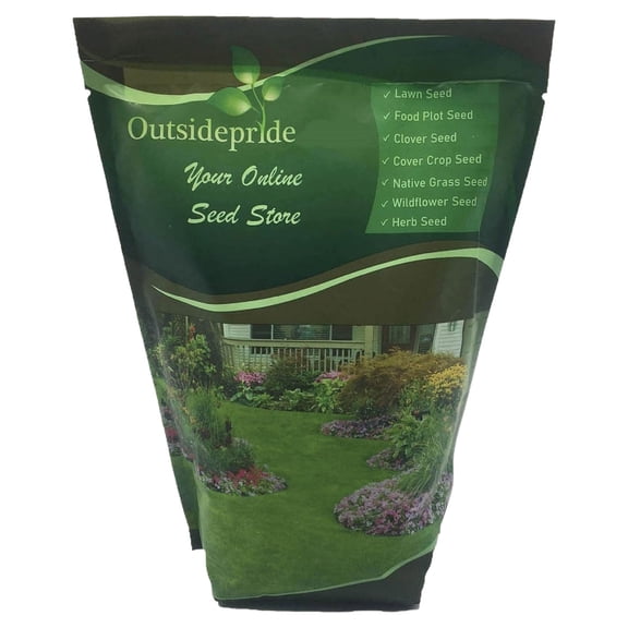 Outsidepride Showy Evening Primrose Wildflower Seed - 1/8 LB