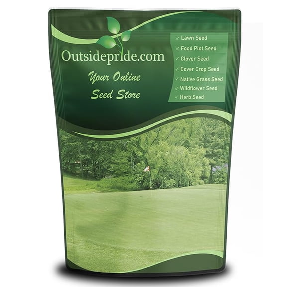 Outsidepride Yukon Bermuda Grass Seed - 2 lbs Cold & High Traffic Tolerant, Premium Hybrid Bermuda Turf Grass Seeds for Lawn, Ideal Low Maintenance Seed Grass for Colder & Challenging Area